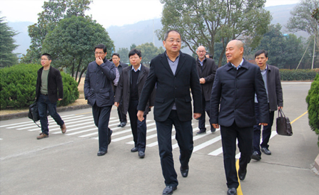 �ڲ�tengbo9885_��ҳ(��ӭ��)